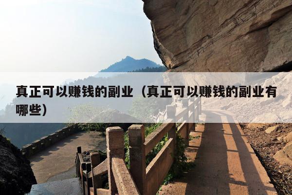 真正可以赚钱的副业(真正可以赚钱的副业有哪些)