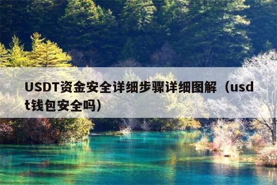 USDT资金安全详细步骤详细图解(usdt钱包安全吗)