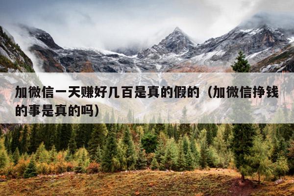 加微信一天赚好几百是真的假的(加微信挣钱的事是真的吗)