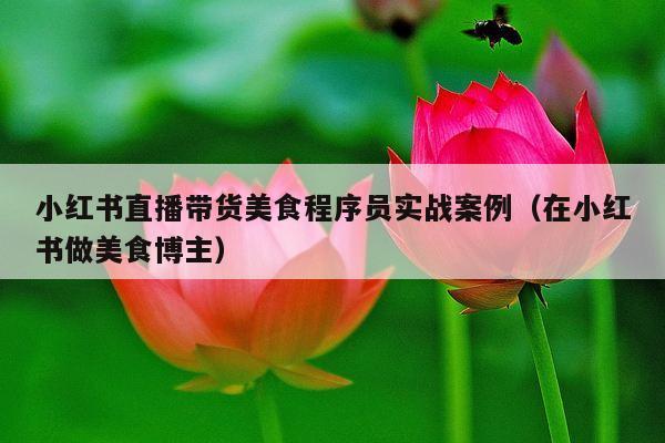 小红书直播带货美食程序员实战案例(在小红书做美食博主)