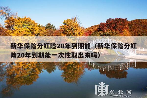 新华保险分红险20年到期能(新华保险分红险20年到期能一次性取出来吗)