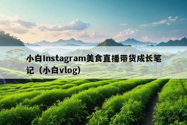 小白Instagram美食直播带货成长笔记(小白vlog)