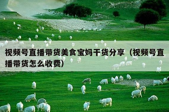 视频号直播带货美食宝妈干货分享(视频号直播带货怎么收费)