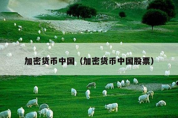 加密货币中国(加密货币中国股票)