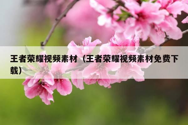 王者荣耀视频素材(王者荣耀视频素材免费下载)