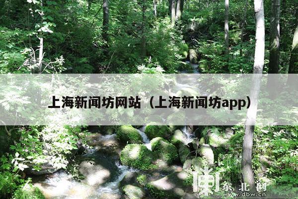 上海新闻坊网站(上海新闻坊app)