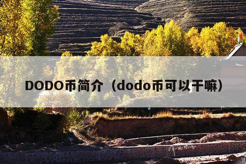 DODO币简介(dodo币可以干嘛)