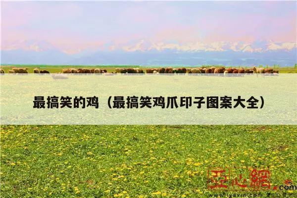 最搞笑的鸡(最搞笑鸡爪印子图案大全)