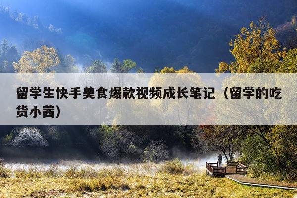 留学生快手美食爆款视频成长笔记(留学的吃货小茜)
