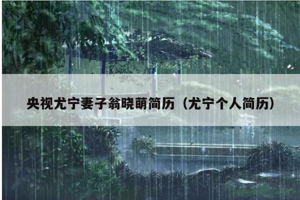 央视尤宁妻子翁晓萌简历(尤宁个人简历)