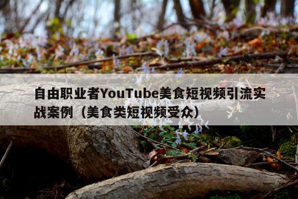 自由职业者YouTube美食短视频引流实战案例(美食类短视频受众)