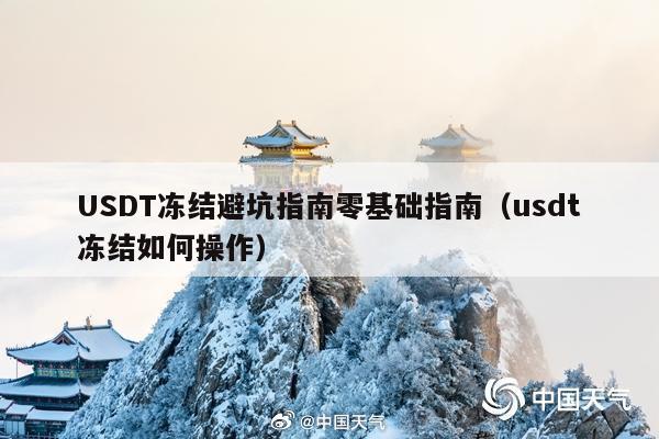 USDT冻结避坑指南零基础指南(usdt冻结如何操作)