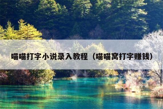 喵喵打字小说录入教程(喵喵窝打字赚钱)