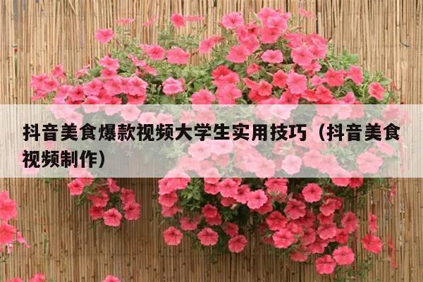 抖音美食爆款视频大学生实用技巧(抖音美食视频制作)