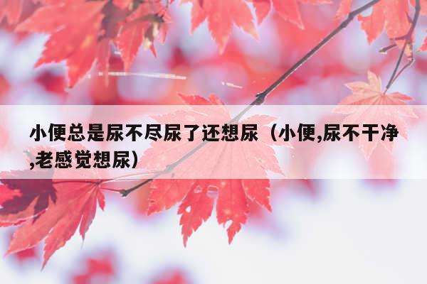 小便总是尿不尽尿了还想尿(小便,尿不干净,老感觉想尿)