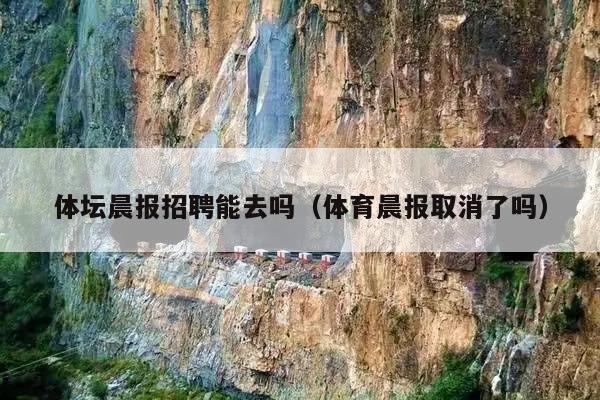 体坛晨报招聘能去吗(体育晨报取消了吗)