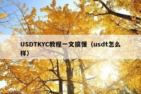 USDTKYC教程一文搞懂(usdt怎么样)