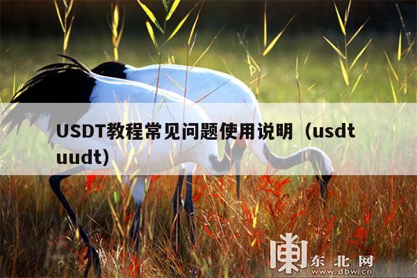 USDT教程常见问题使用说明(usdt uudt)