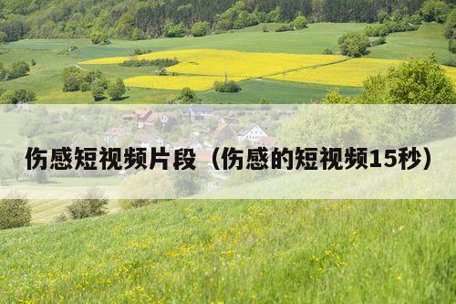 伤感短视频片段(伤感的短视频15秒)