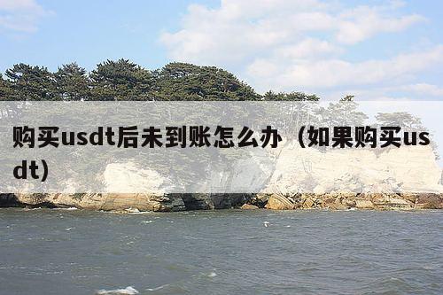 购买usdt后未到账怎么办（如果购买usdt）