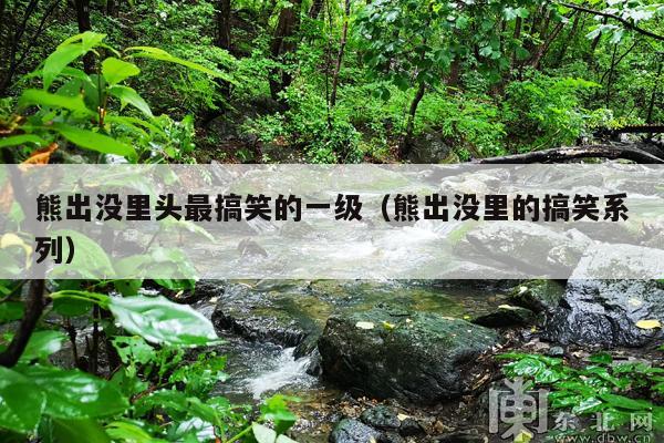 熊出没里头最搞笑的一级（熊出没里的搞笑系列）