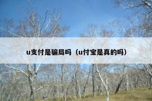 u支付是骗局吗（u付宝是真的吗）