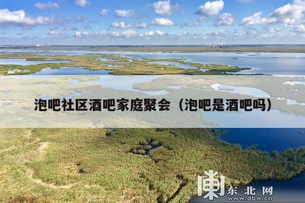 泡吧社区酒吧家庭聚会（泡吧是酒吧吗）