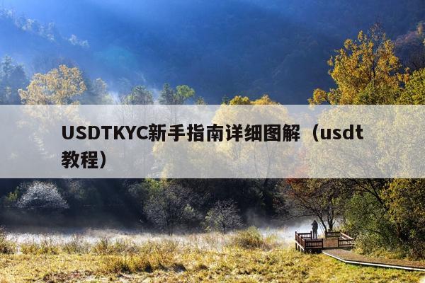 USDTKYC新手指南详细图解(usdt教程)