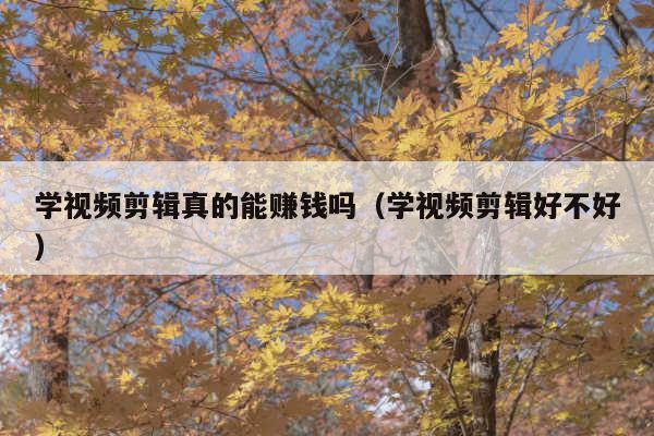 学视频剪辑真的能赚钱吗（学视频剪辑好不好）