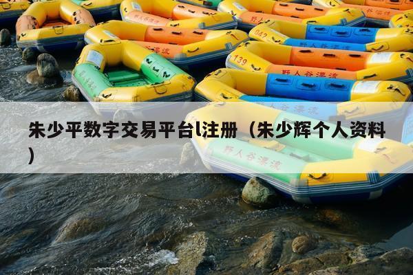 朱少平数字交易平台l注册（朱少辉个人资料）