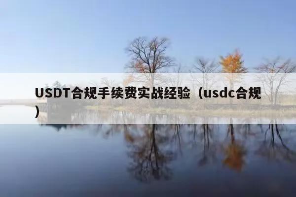 USDT合规手续费实战经验（usdc合规）