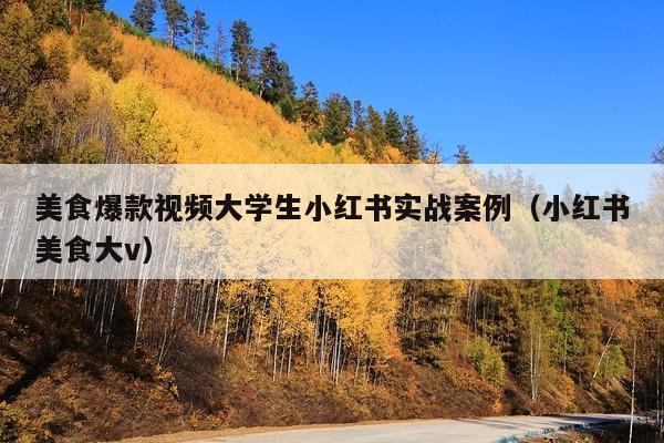 美食爆款视频大学生小红书实战案例（小红书美食大v）