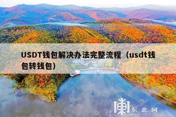 USDT钱包解决办法完整流程（usdt钱包转钱包）