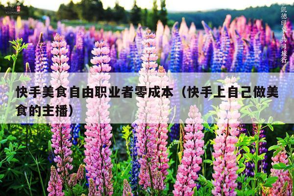 快手美食自由职业者零成本（快手上自己做美食的主播）