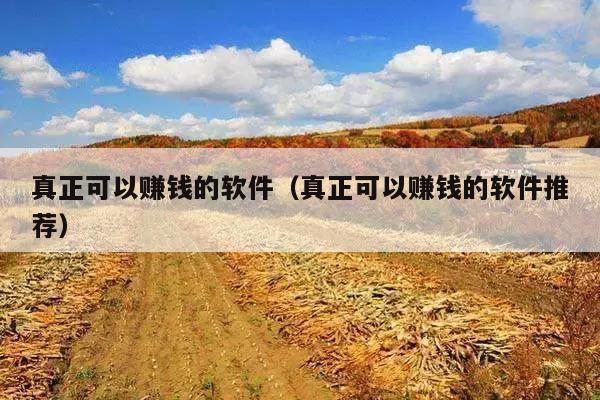 真正可以赚钱的软件（真正可以赚钱的软件推荐）