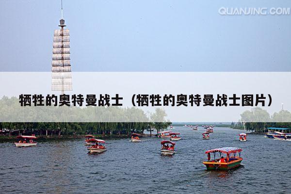 牺牲的奥特曼战士（牺牲的奥特曼战士图片）