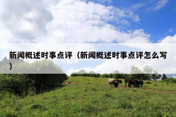 新闻概述时事点评（新闻概述时事点评怎么写）