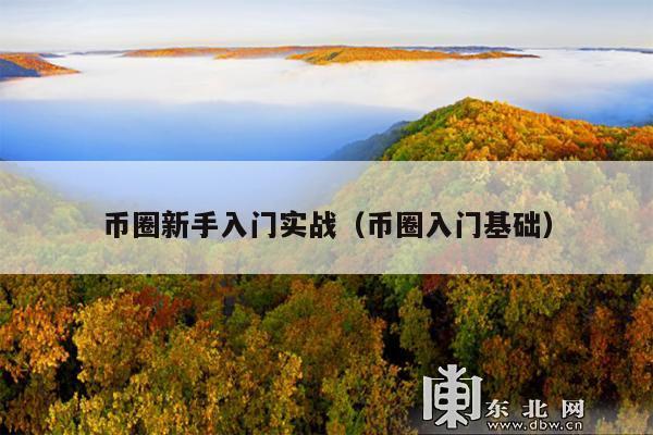 币圈新手入门实战（币圈入门基础）