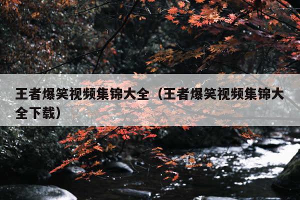 王者爆笑视频集锦大全(王者爆笑视频集锦大全下载)