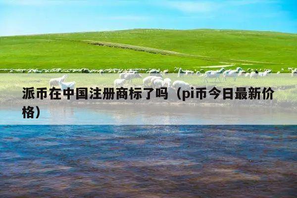派币在中国注册商标了吗（pi币今日最新价格）