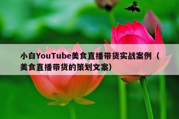 小白YouTube美食直播带货实战案例(美食直播带货的策划文案) 小白YouTube美食直播带货实战案例(美食直播带货的策划文案)