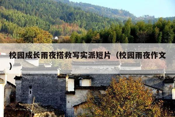 校园成长雨夜搭救写实派短片(校园雨夜作文)