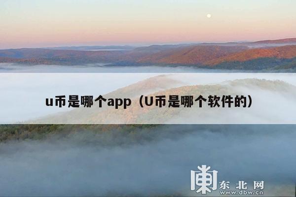 u币是哪个app(U币是哪个软件的)