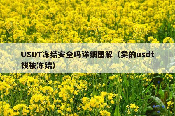 USDT冻结安全吗详细图解（卖的usdt钱被冻结）