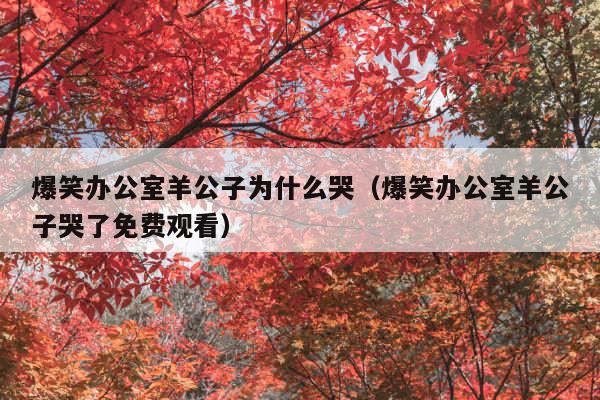 爆笑办公室羊公子为什么哭（爆笑办公室羊公子哭了免费观看）