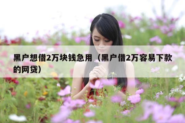 黑户想借2万块钱急用(黑户借2万容易下款的网贷)