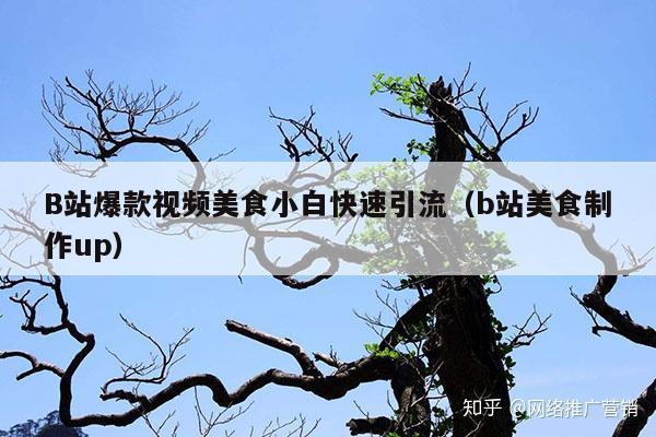 B站爆款视频美食小白快速引流(b站美食制作up)