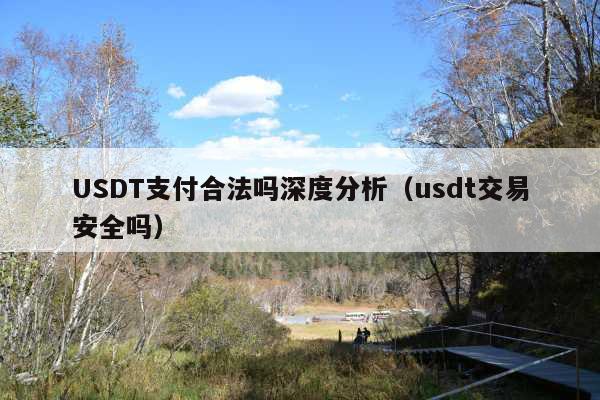 USDT支付合法吗深度分析(usdt交易安全吗)