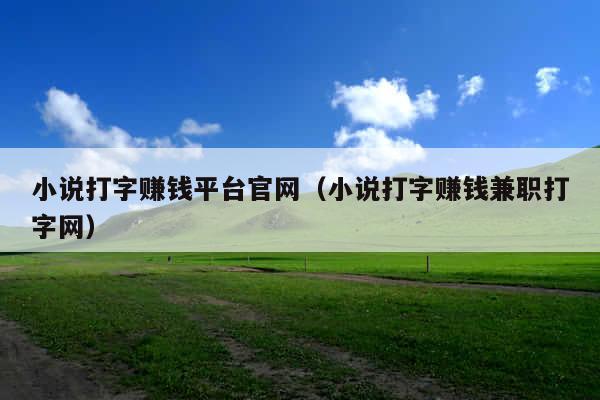 小说打字赚钱平台官网(小说打字赚钱兼职打字网)