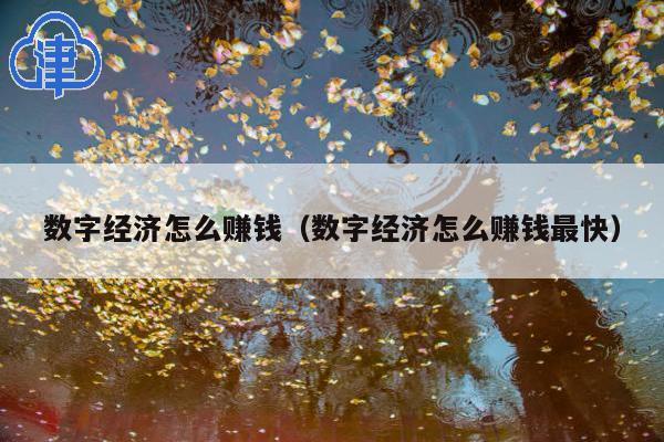 数字经济怎么赚钱(数字经济怎么赚钱最快)